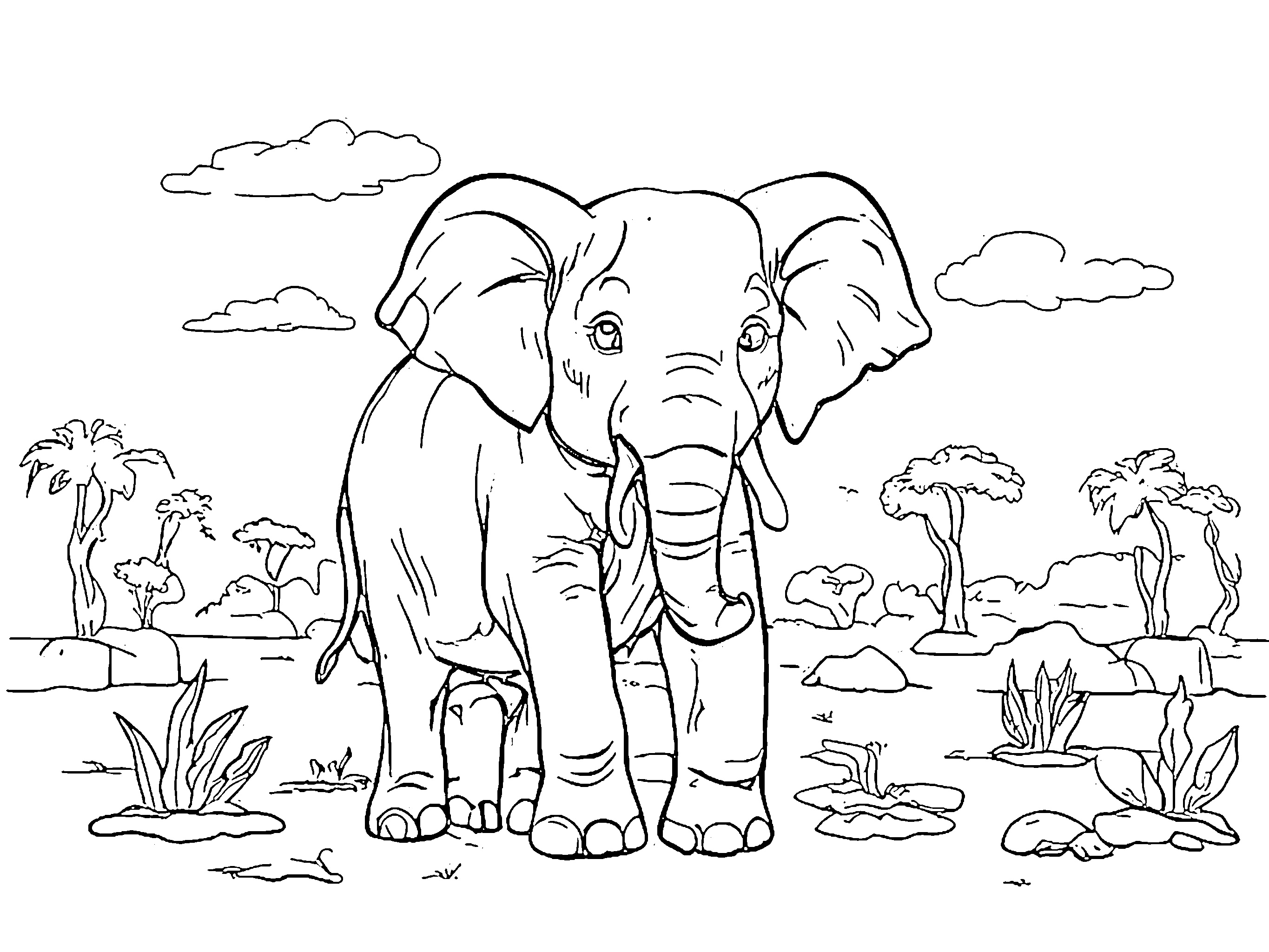 gambar gajah elephant in the sabana 3